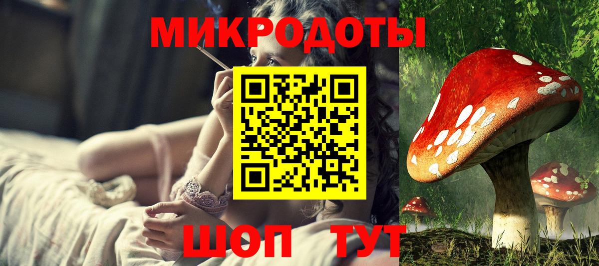 Лениногорск  Галлюциногенные грибы Cubensis  Вход с VPN 