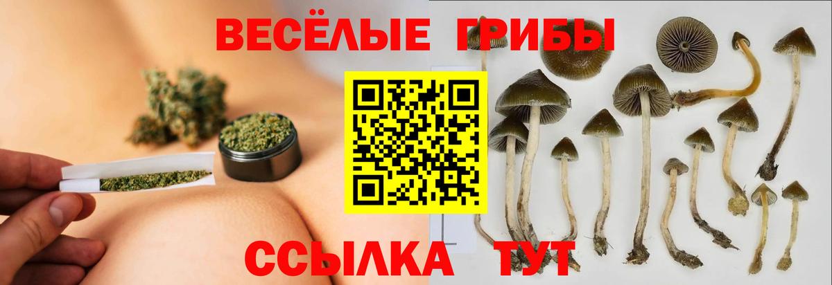 Псилоцибиновые грибы прущие грибы Лениногорск